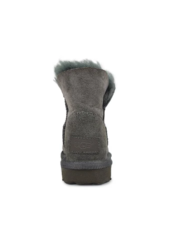 Жіночі угі UGG Угги (254582761)