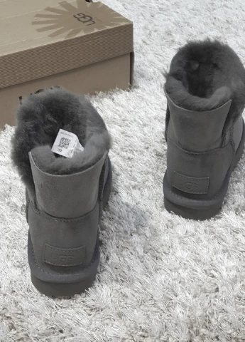 Жіночі угі UGG Угги (254582761)