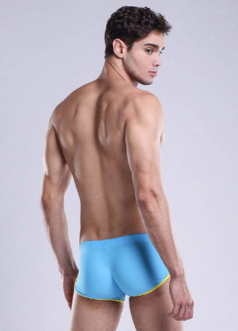 Мужские голубые пляжные мужские плавки шорты Desmit