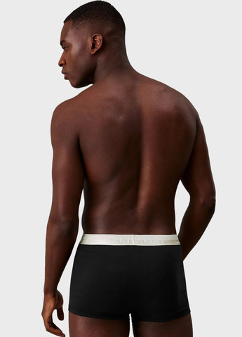 Трусы (3 шт.) Calvin Klein (366438745)