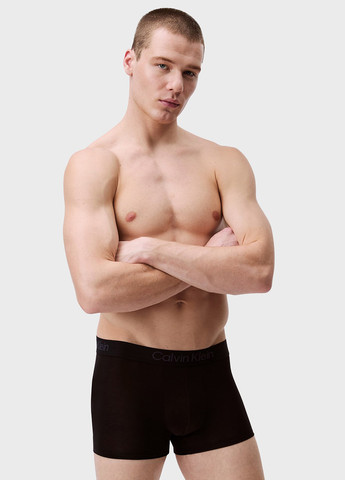 Труси (3 шт.) Calvin Klein (366302598)