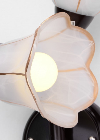 Бра настенное накладное флористика LK-404W/2 E14 B Brille (253894422)