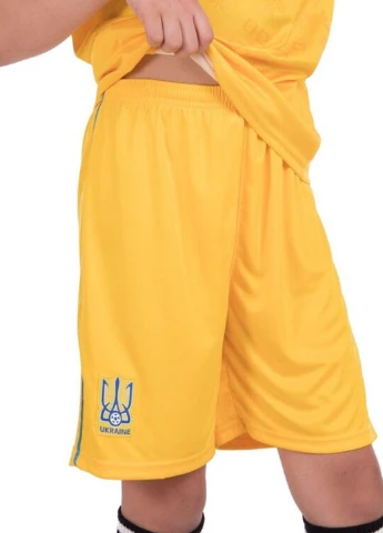 Спортивна форма (футболка, шорти) УКРАЇНА CO-3573-UKR-Y Nike УКРАЇНА (318417522)