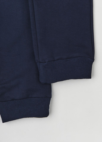 Темно-синие спортивные демисезонные джоггеры брюки Garnamama