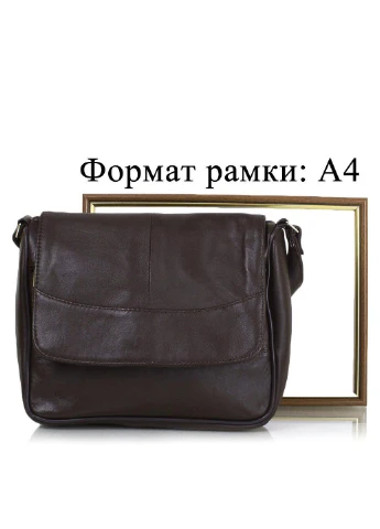 Жіноча шкіряна сумка-почтальонка 25х21х8 см TuNoNa (195538625)