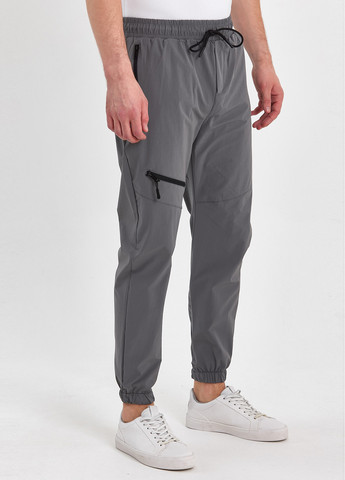 Серые спортивные демисезонные джоггеры брюки Trend Collection