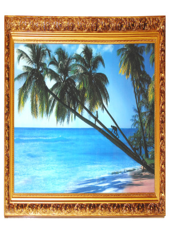 Картина з підсвічуванням SW-502 Brille (221307206)