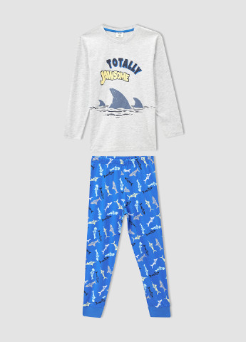 Серо-голубая всесезон пижама (лонгслив, брюки) лонгслив + брюки DeFacto