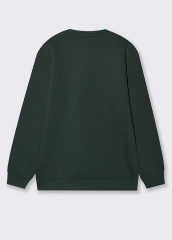Темно-зеленый свитшот Piazza Italia однотонный без декора (363048334)