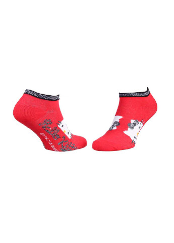 Носки Hello Kitty socks 1-pack (254007426)