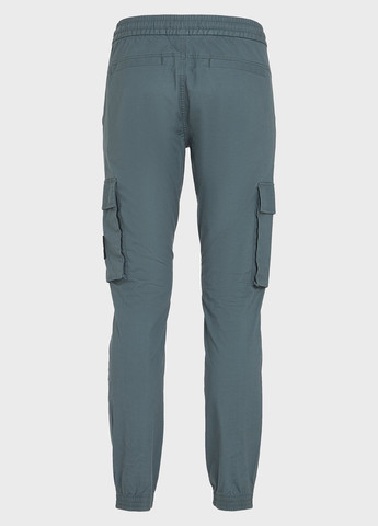 Штани Calvin Klein Jeans (347656504)