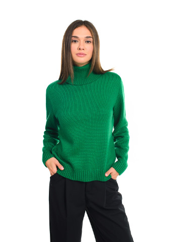 Зелений зимовий класичний жіночий светр SVTR