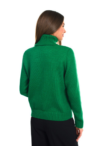 Зеленый зимний классический женский свитер SVTR
