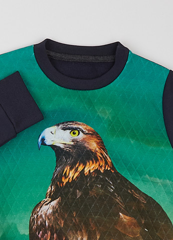 ArDoMi світшот малюнок темно-синій кежуал бавовна, двунитка з начосом