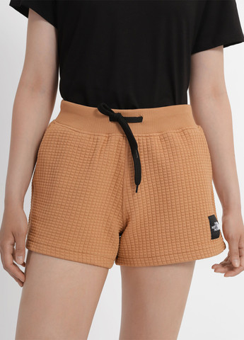 Шорты The North Face (363353883)