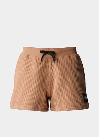 Шорты The North Face (363353883)