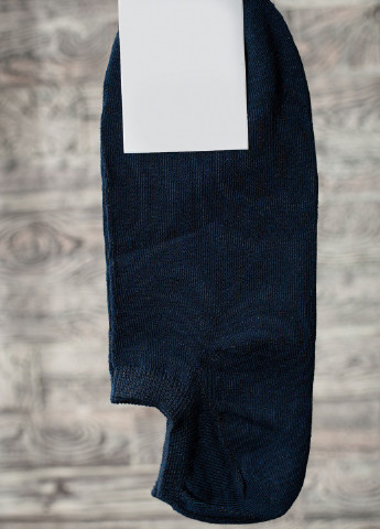 Шкарпетки чоловічі ISSA PLUS gns-70 (254869717)