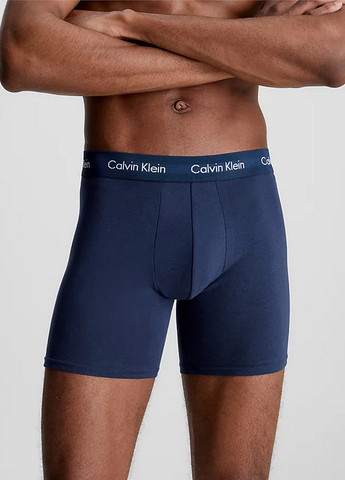 Трусы (3 шт.) Calvin Klein Underwear (329047432)