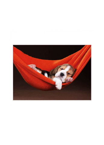 Пазл Сон у гамаку 500 елементів (6425278) Educa (252407216)