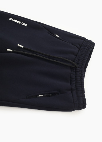 Темно-синие спортивные зимние брюки Atescan