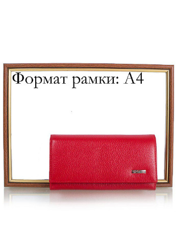 Жіночий шкіряний гаманець 17,8 х9, 2х1, 7 см Desisan (206211985)