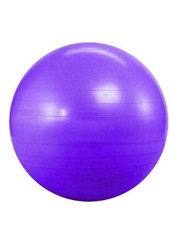 М'яч для фітнесу Profit Ball 65 см фіолетовий (фітбол, гімнастичний м'яч для вагітних) PB-65-V EasyFit (243205432)