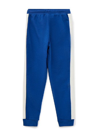 Синие спортивные демисезонные брюки джоггеры Роза