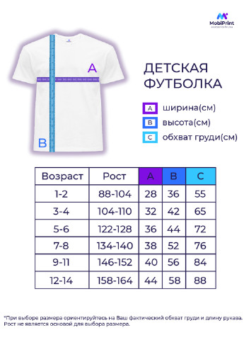 Голубая демисезонная футболка детская роблокс (roblox)(9224-1221) MobiPrint