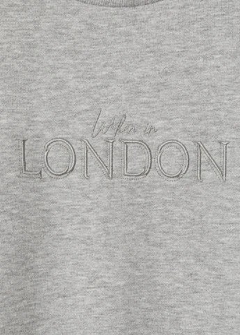 Сіро-синій світшот H&M меланж вишивка (186039092)