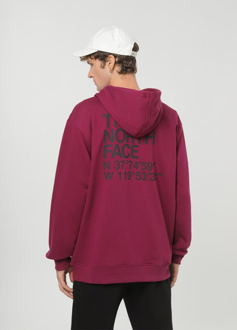 Худи The North Face NF0A853ZI0H1 (326887881)