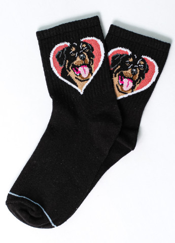 Шкарпетки Собаки в серце Crazy Llama`s высокие (211448737)