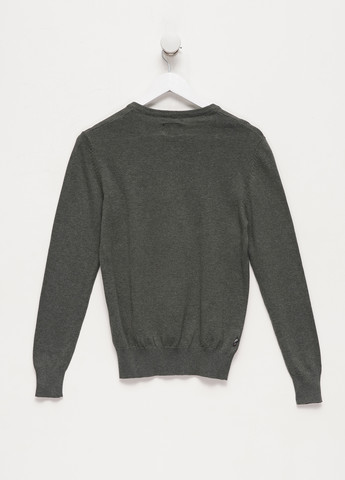 Серо-зеленый демисезонный пуловер пуловер Terranova