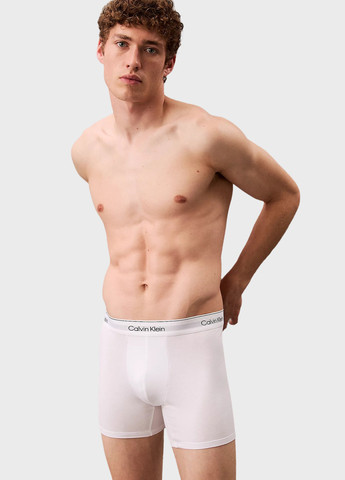Труси (3 шт.) Calvin Klein (366438736)