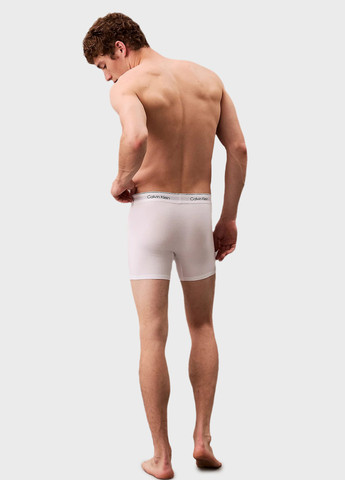 Труси (3 шт.) Calvin Klein (366438736)