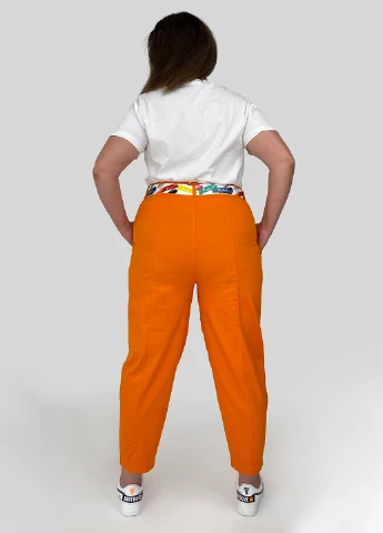 Штани Zanessi (297948679)