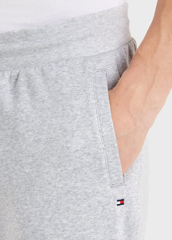 Серые спортивные демисезонные джоггеры брюки Tommy Hilfiger