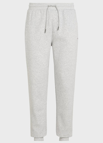 Серые спортивные демисезонные джоггеры брюки Tommy Hilfiger