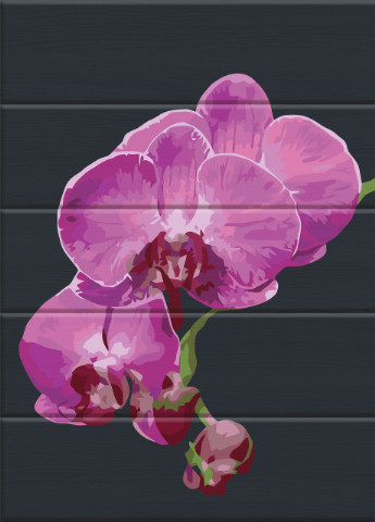 Картина по номерам на дереве "Бархатная орхидея" 30*40 см ArtStory (252265997)