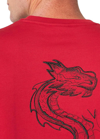 Червоний світшот Armani Exchange дракон вишивка (302951002)