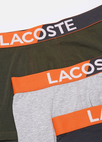 Трусы (3 шт.) Lacoste (329148444)