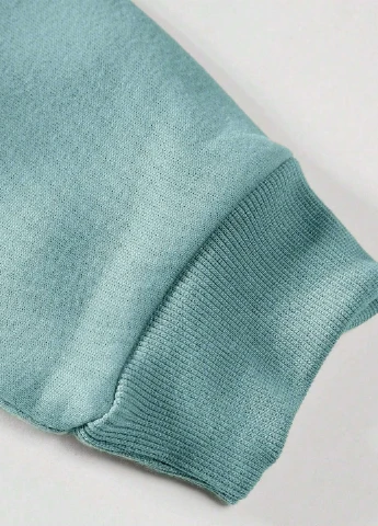 Блакитний світшот SHEIN малюнок без декору (308795312)