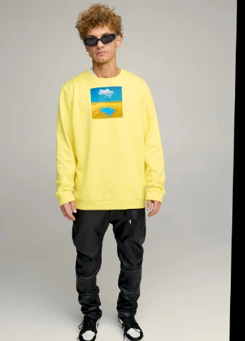 Жовтий свитшот мужской oversize /no flis/ YAPPI малюнок (254557771)