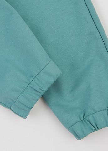 Костюм (толстовка, брюки) Flamingo (359368622)