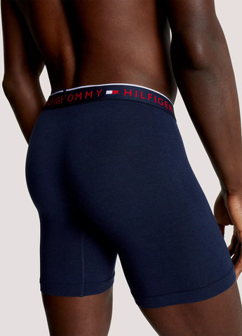 Трусы (3 шт.) Tommy Hilfiger (348838110)