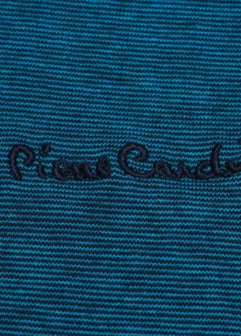 Поло Pierre Cardin (146844894)