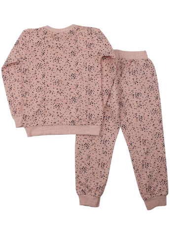 Розовый демисезонный костюм (свитшот, брюки) брючный Breeze