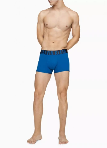 Труси (3 шт.) Calvin Klein (261773376)