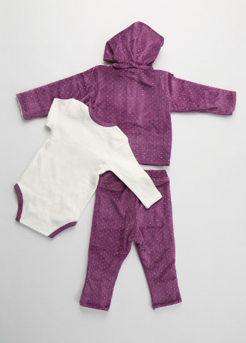 Фіолетовий демісезонний комплект (боді, толстовка, брюки) Фламинго