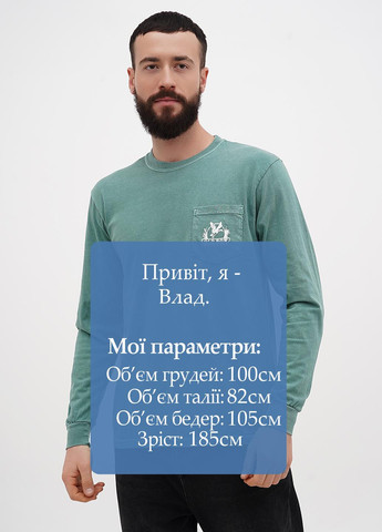 Лонгслів Comfort Colors малюнок зелений кежуали бавовна