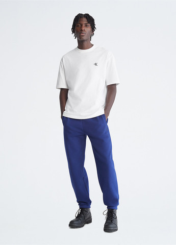 Синие спортивные демисезонные джоггеры брюки Calvin Klein